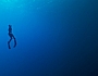 Подводный капкан - кадр 1